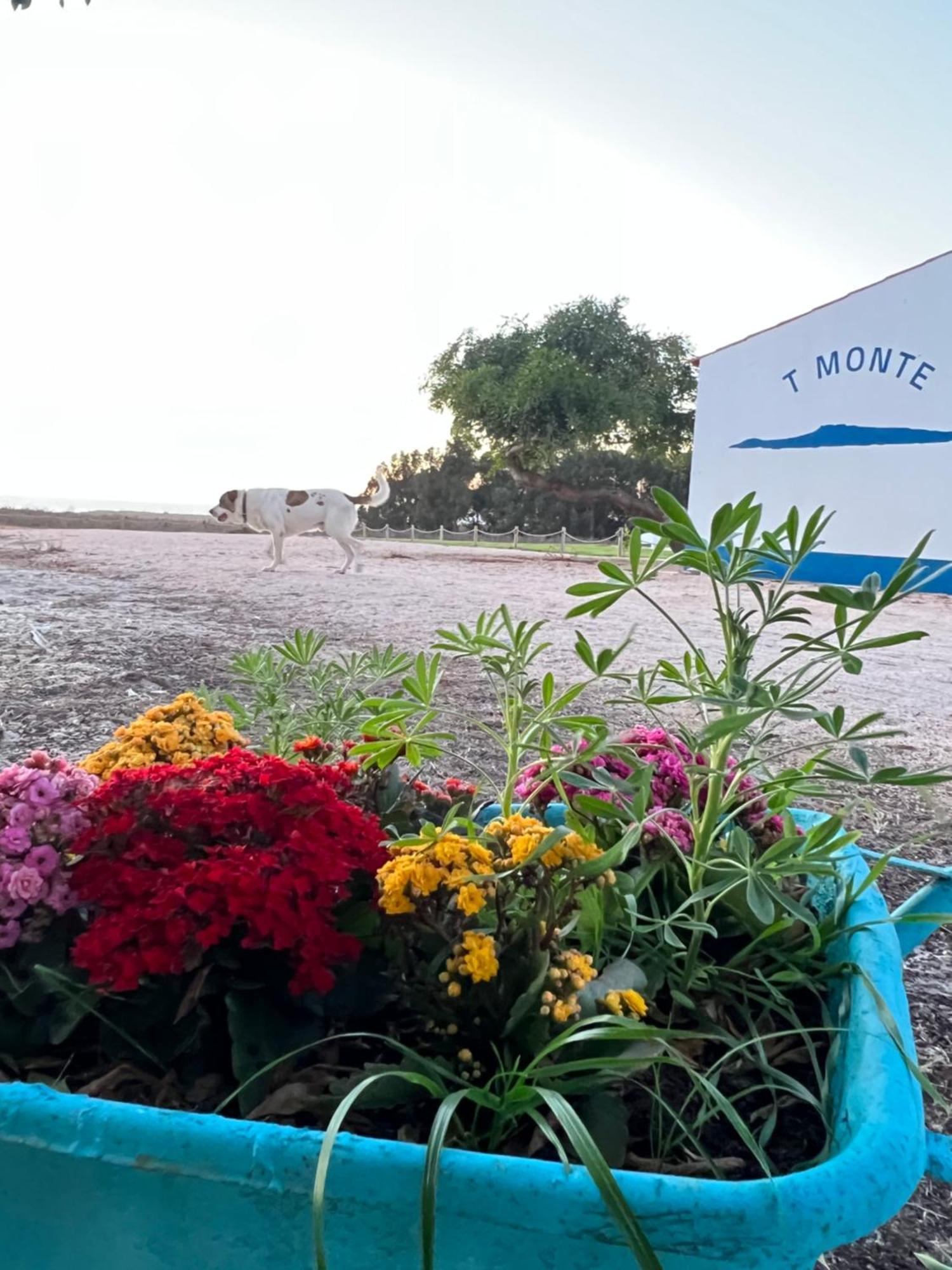 T Monte Villa Porto Covo Dış mekan fotoğraf